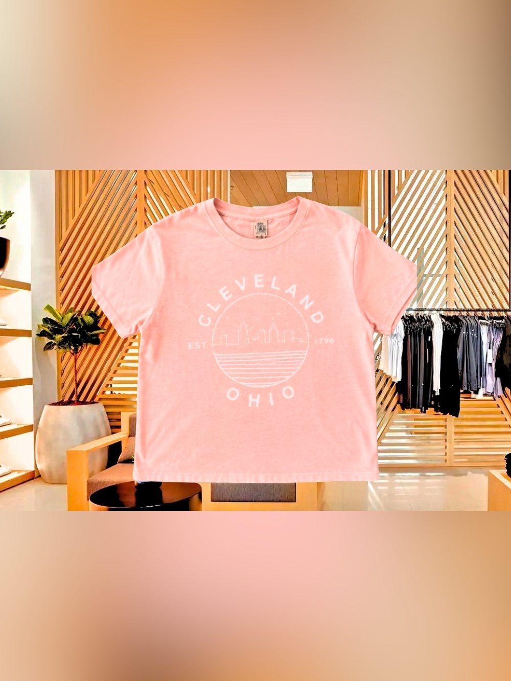 Cleveland Skyline Brush Pink Crop Top